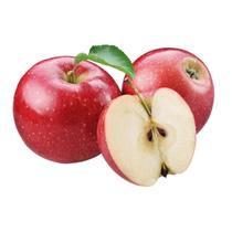 Muda de Maçã Ana Enxertada Rápida Produção Produz em Vasos