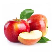 Muda de Maçã Gala Enxertada Rápida Produção Produz em Vasos