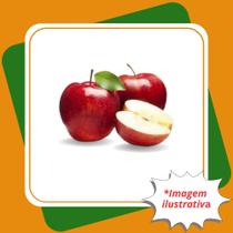 Muda de Maçã Julieta Enxertada Malus Domestica Borkh.