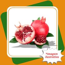Muda de Romã Gigante Enxertado Punica Granatum.