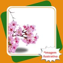 Muda de Sakura Rosa Cerejeira Flor do Japão Prunus Serrulata