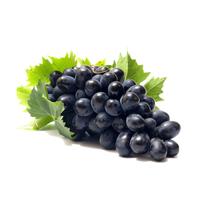 Muda de Uva Francesa Enxertada Rápida Produção Produz em Vasos