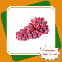 Muda de Uva Isis Enxertada Vitis vinifera L.