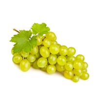 Muda de Uva Itália Enxertada Rápida Produção Produz em Vasos