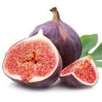 Muda Figo Roxo de Valinhos