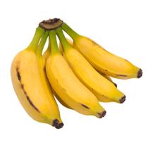 Muda Frutífera de Banana Prata
