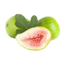 Muda Frutífera de Figo Branco