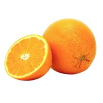 Muda Frutífera de Laranja Abacaxi Enxertada