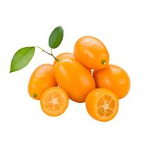 Muda Frutífera de Laranja Kinkan Doce Enxertada (Xim Xim) - AgroJardim