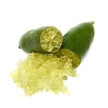 Muda Frutífera de Limão Caviar Enxertado - AgroJardim