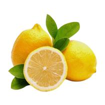 Muda Frutífera de Limão Siciliano Enxertado - AgroJardim