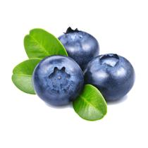 Muda Frutífera de Mirtilo (Blueberry) - Viveiro de Mudas São João