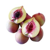 Muda Frutífera de Pêssego Eragil Enxertado - AgroJardim