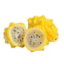 Muda Frutífera de Pitaya Casca Amarela Polpa Amarela - AgroJardim