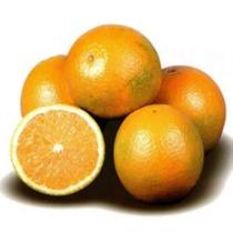 Muda Laranja Natal Enxerto