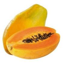 Muda Mamão Papaya (Carica Papaya) Muda Mamão Papaya (Carica Papaya)
