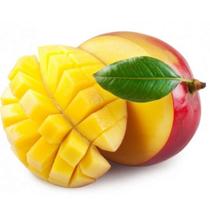 Muda Manga Rosa Enxertada (Mangifera Indica)