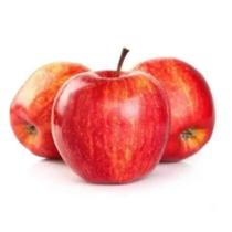 Mudas de Maçã Ana - Enxertada