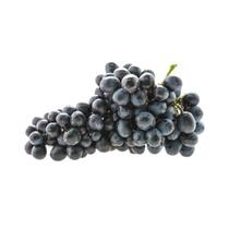 Mudas Uva Brs Magda para Vinho e suco-enxerto