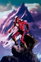 Mulher-Maravilha/Flash - Vol. 09