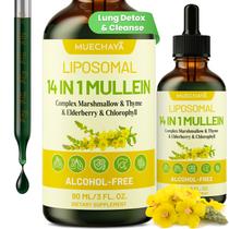 Mullein Drops Muechaya Lipossomal 90ml Lung Detox Mint Mullein Drops Muechaya Lipossomal 90ml Lung Detox Mint