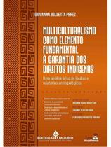 Multiculturalismo como elemento fundamental à garantia dos direitos indígenas - 2025