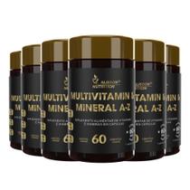 Multivitamínico Multimineral A-z 6x60 cápsulas Alisson Nutrition