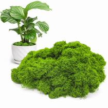 Musgo artificial Aspamms Fake Green Moss 300g para artesanato