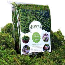 Musgo artificial falso Usmola Craft Moss 225g para decoração