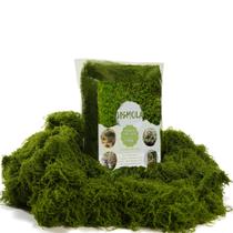 Musgo artificial USMOLA 100g, decoração de artesanato de interior verde