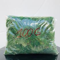Musgo Artificial Verde P/ Arranjos e Jardins 100g