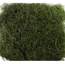 Musgo Barba De Velho 24 gramas