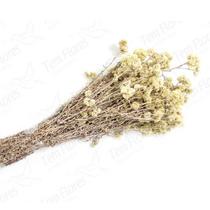 Musgo Branco Pc 2 Lts Para Orquideas e Decoração Substrato