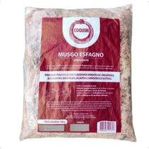 Musgo De Esfagno (sphagnum) Ouro Fertil 100 G Rf 4011