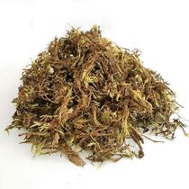 Musgo Decorativo 5 Litros Plantas Orquídeas E Arranjo Floral