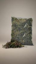 Musgo Esfagno Natural - 2 Litros - Substrato