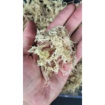 Musgo Esfagno Para Orquídeas Terrário Kokedama Artesanato
