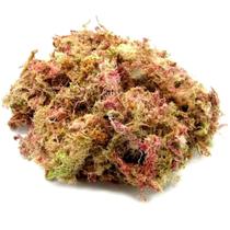 Musgo Esfagno Rosado 3L Seco Para Orquídeas e Plantas Carnívoras