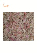 Musgo Esfagno Sfagno Sphagnum (rosa) 200g