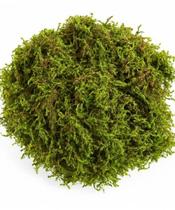 Musgo Natural Seco para Decoração Pacote