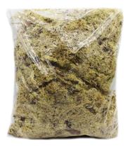 Musgo Para Orquídea Sphagnum P/ Vasos Jardins E Decoração 120g