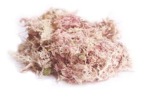 Musgo para Orquideas e Decoração Substrato Kokedama 2 Litros