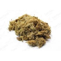 Musgo para Orquideas e Decoração Substrato Kokedama 2 Litros