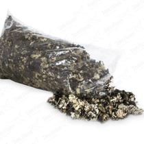 Musgo Preto Pc 4 Lts Para Orquideas e Decoração