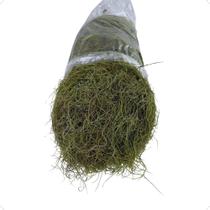 Musgo Seco Barba De Bode Saco Grande Com Aprox. 400 Gramas