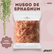 Musgo Sphagnum 3Kg (50Lts) para Orquídeas, Suculentas, Jardinagem, Substrato e Retenção de Umidade
