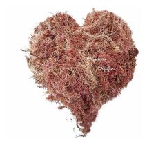 Musgo Sphagnum 4 Litros Substrato Para Plantas E Orquídeas Flores Natural Musgo Sphagnum 4 Litros Substrato Para Plantas E Orquídeas Flores Natural