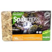 Musgo Sphagnum Besgrow Premium da Nova Zelândia - 100g (8L hidratado)