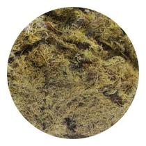 Musgo Sphagnum P/ Vasos Jardins E Decoração 120g