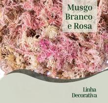 Musgo sphagnum rosa plantas orquideas artesanato arranjos 40 gr Gold Plant